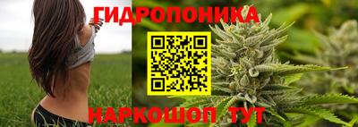 прущие грибы Лесосибирск