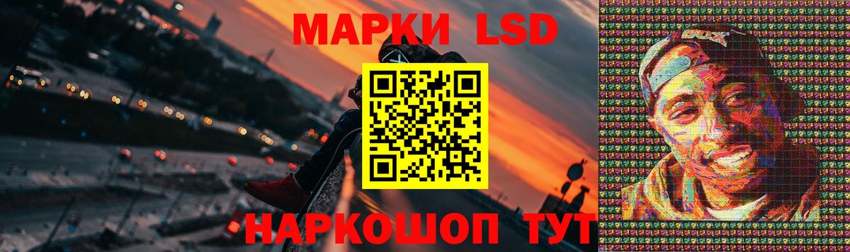 ЛСД экстази ecstasy  Вход с VPN  Заинск 